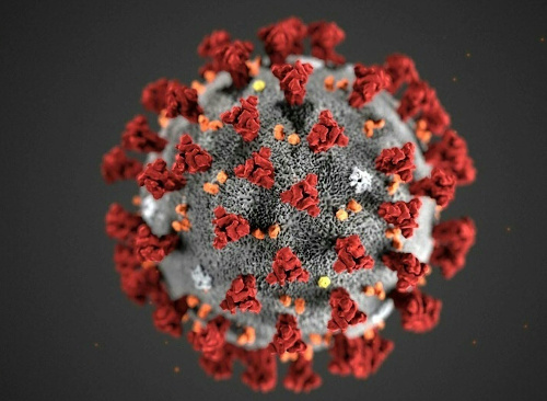Virus SARS-CoV-2