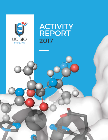 Activity Report 2017 