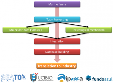 Pedro Costa news image