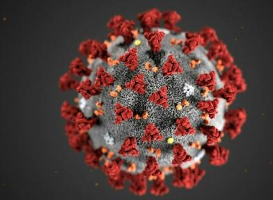 Virus SARS-CoV-2