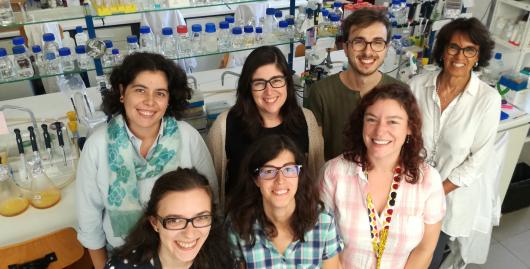 MolMicro of Bacterial Pathogens