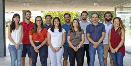 Molecular Biophysics